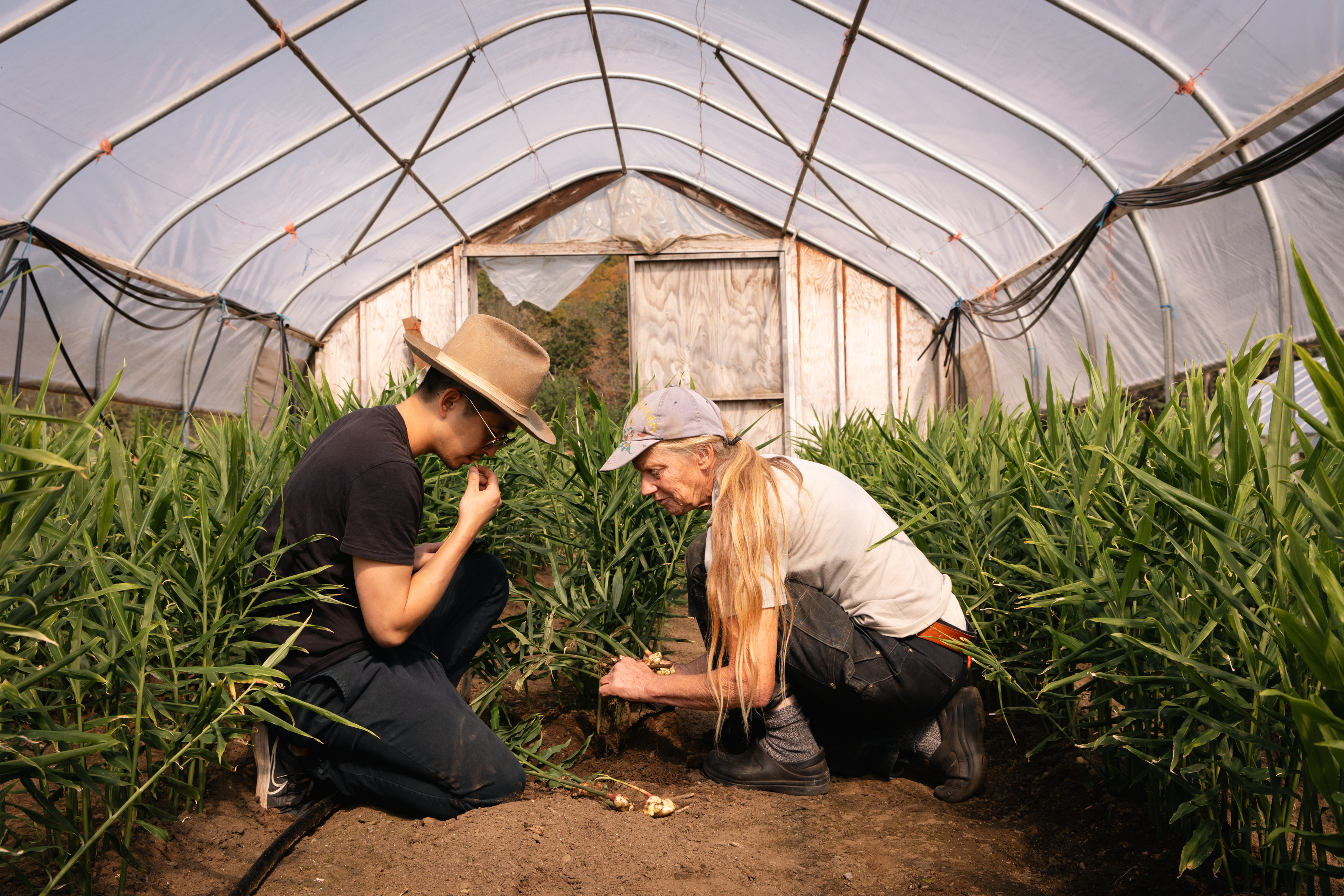 Luna Bleu Farm, South Royalton, Windsor County